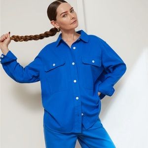 Everlane Classic Cotton Flannel button down shirt in blue small